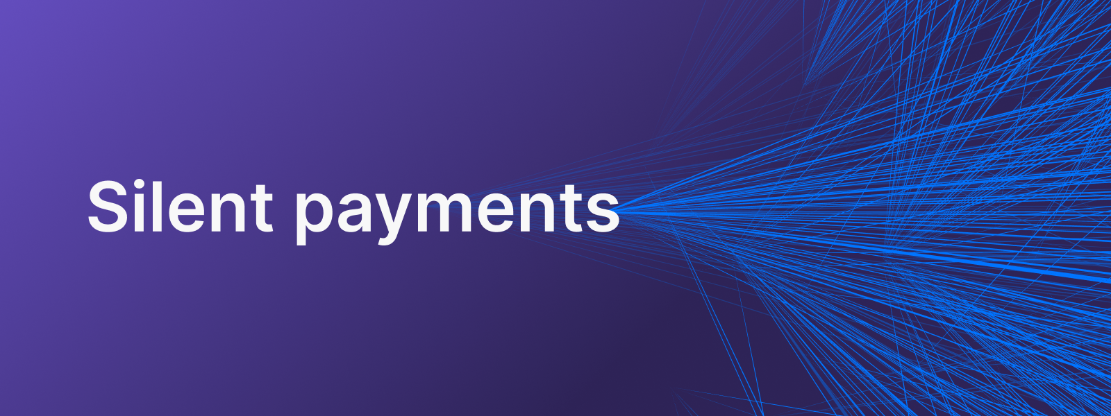 A header image with a purple gradient, the text Silent Payments and a network visual.